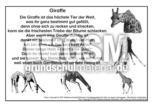 Giraffe-SW.pdf